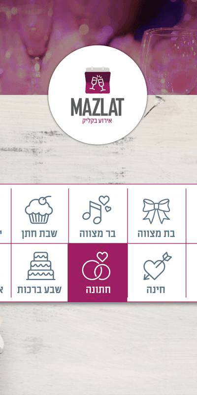 מזל"ט — 6